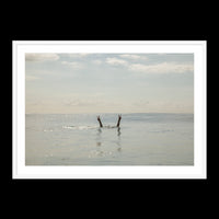 Peace Below - Statement / White / Matted