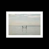 Peace Below - Large / White / Matted