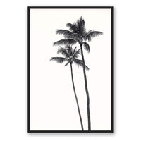 Carly Tabak Print GALLERY / Black / FULL BLEED Palm Palms