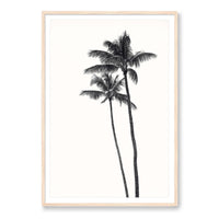 Carly Tabak Print GALLERY / Natural / MATTED Palm Palms