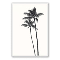 Carly Tabak Print GALLERY / White / FULL BLEED Palm Palms