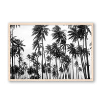 Carly Tabak Print Large / Natural / FULL BLEED Palms on Palms
