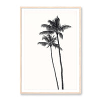Carly Tabak Print Large / Natural / MATTED Palm Palms