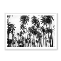 Carly Tabak Print Large / White / MATTED Palms on Palms