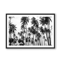 Carly Tabak Print MEDIUM / Black / MATTED Palms on Palms