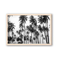 Carly Tabak Print SMALL / Natural / FULL BLEED Palms on Palms