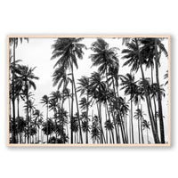 Carly Tabak Print STATEMENT / Natural / FULL BLEED Palms on Palms