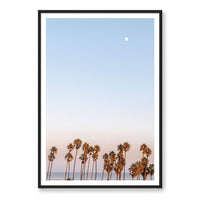 Michelle Halpern Print GALLERY / Black / MATTED Moon Palms