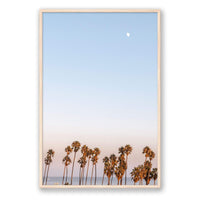 Michelle Halpern Print GALLERY / Natural / FULL BLEED Moon Palms