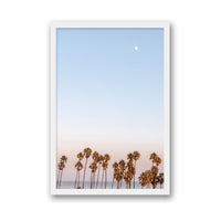 Michelle Halpern Print SMALL / White / FULL BLEED Moon Palms