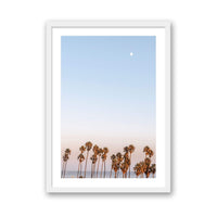 Michelle Halpern Print SMALL / White / MATTED Moon Palms