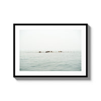 The West Coast Wild Life - Large / Black / Matted