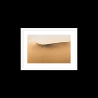 Dunes Walk - Small / White / Matted