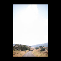 Ranch - Medium / Rolled (No Frame) / N/A