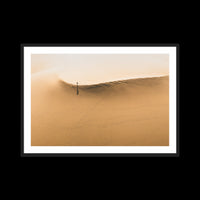 Dunes Walk - X-Large / Black / Matted