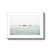 The West Coast Wild Life - Large / White / Matted
