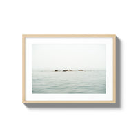 The West Coast Wild Life - Medium / Natural / Matted