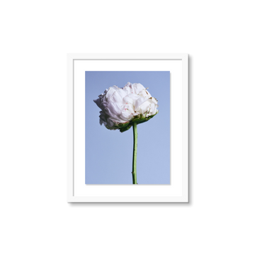 My Favorite Flower - Small / White / Floated