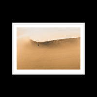 Dunes Walk - Large / White / Matted