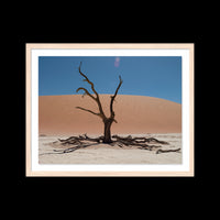 Dead Vlei - Large / Natural / Floated