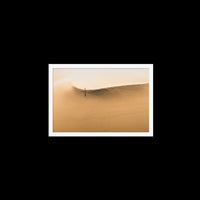Dunes Walk - Medium / White / Full Bleed