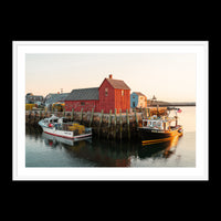 Motif Number 1 - Statement / White / Matted