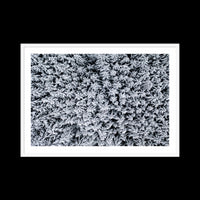 Holiday - X-Large / White / Matted