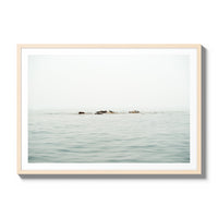The West Coast Wild Life - Gallery / Natural / Matted