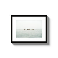 The West Coast Wild Life - Small / Black / Matted
