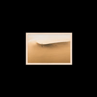 Dunes Walk - Small / Natural / Full Bleed