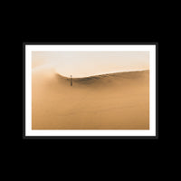Dunes Walk - Large / Black / Matted