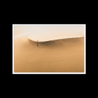Dunes Walk - Gallery / White / Full Bleed
