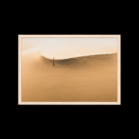 Dunes Walk - X-Large / Natural / Full Bleed