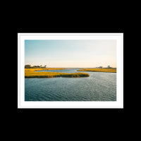 Swan River - Large / White / Matted