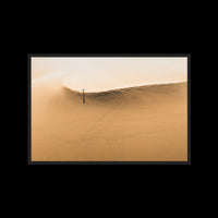 Dunes Walk - Gallery / Black / Full Bleed