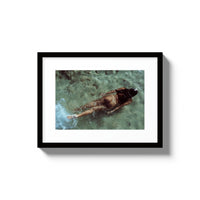 The Skinny Dip - Small / Black / Matted