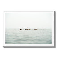 The West Coast Wild Life - Statement / White / Matted