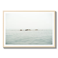 The West Coast Wild Life - Statement / Natural / Matted