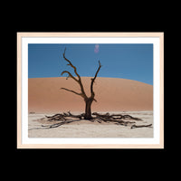 Dead Vlei - X-Large / Natural / Floated