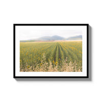 Tuscan Sunflower Symphony - Large / Black / Matted