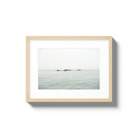 The West Coast Wild Life - Small / Natural / Matted