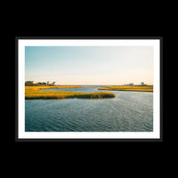 Swan River - Gallery / Black / Matted