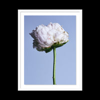 My Favorite Flower - X-Large / White / Floated
