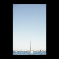 Harbor - Medium / Rolled (No Frame) / N/A