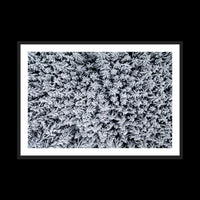 Holiday - Gallery / Black / Matted