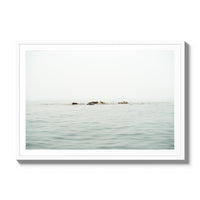 The West Coast Wild Life - Gallery / White / Matted