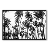 Carly Tabak Print GALLERY / Black / FULL BLEED Palms on Palms