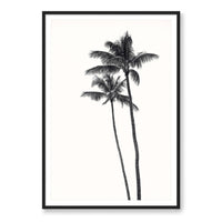 Carly Tabak Print GALLERY / Black / MATTED Palm Palms