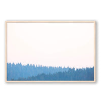 Carly Tabak Print GALLERY / Natural / FULL BLEED Mendocino Redwoods Sunset