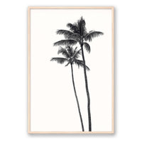 Carly Tabak Print GALLERY / Natural / FULL BLEED Palm Palms
